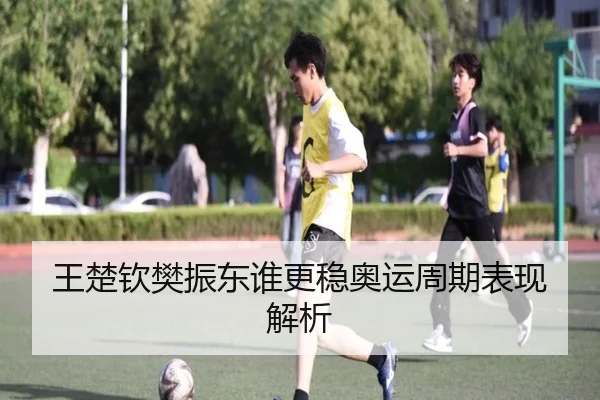 王楚钦樊振东谁更稳奥运周期表现解析